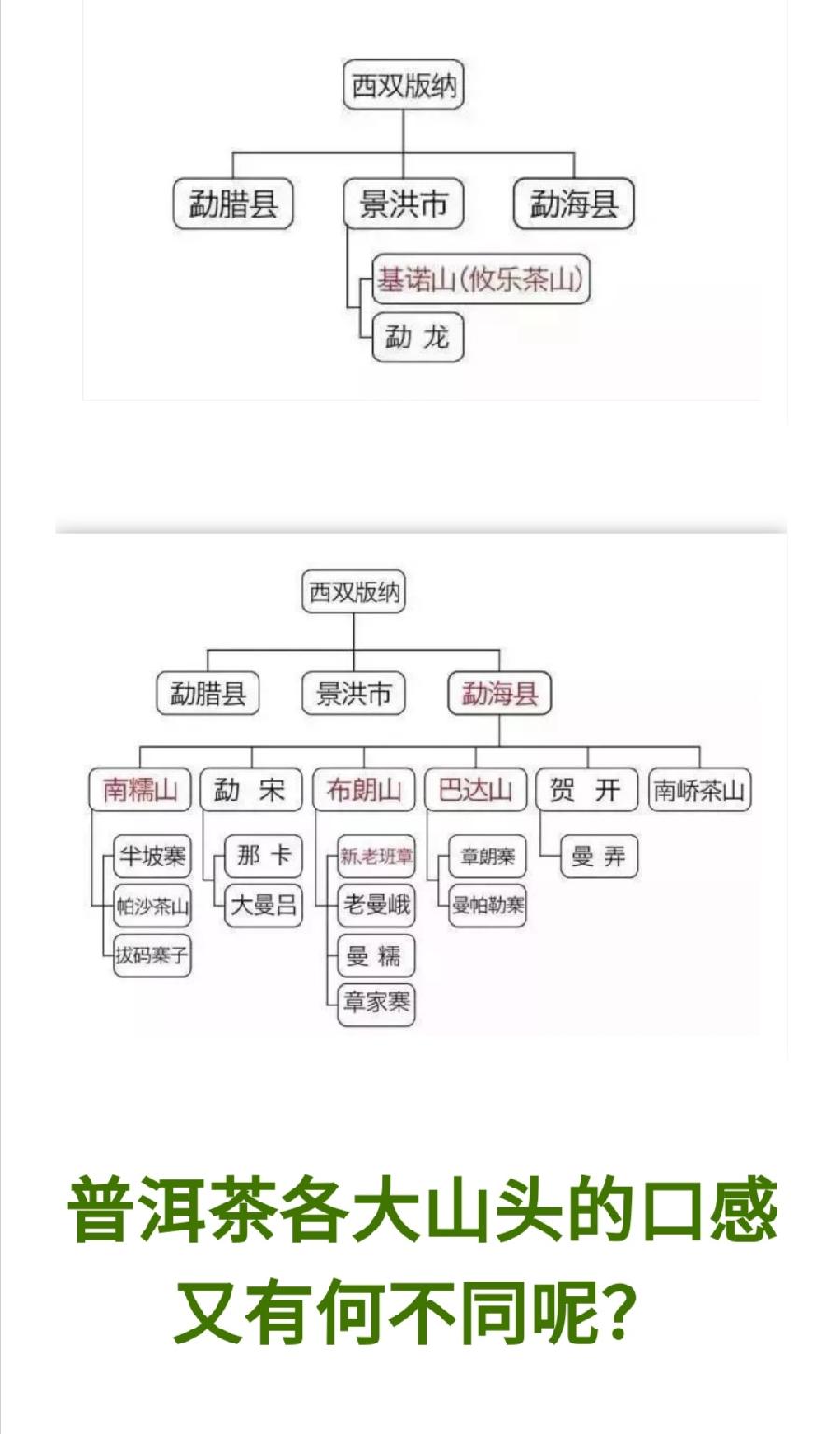 普洱茶各大山头的基本特性和口感，值得收藏！普洱茶界（图11）