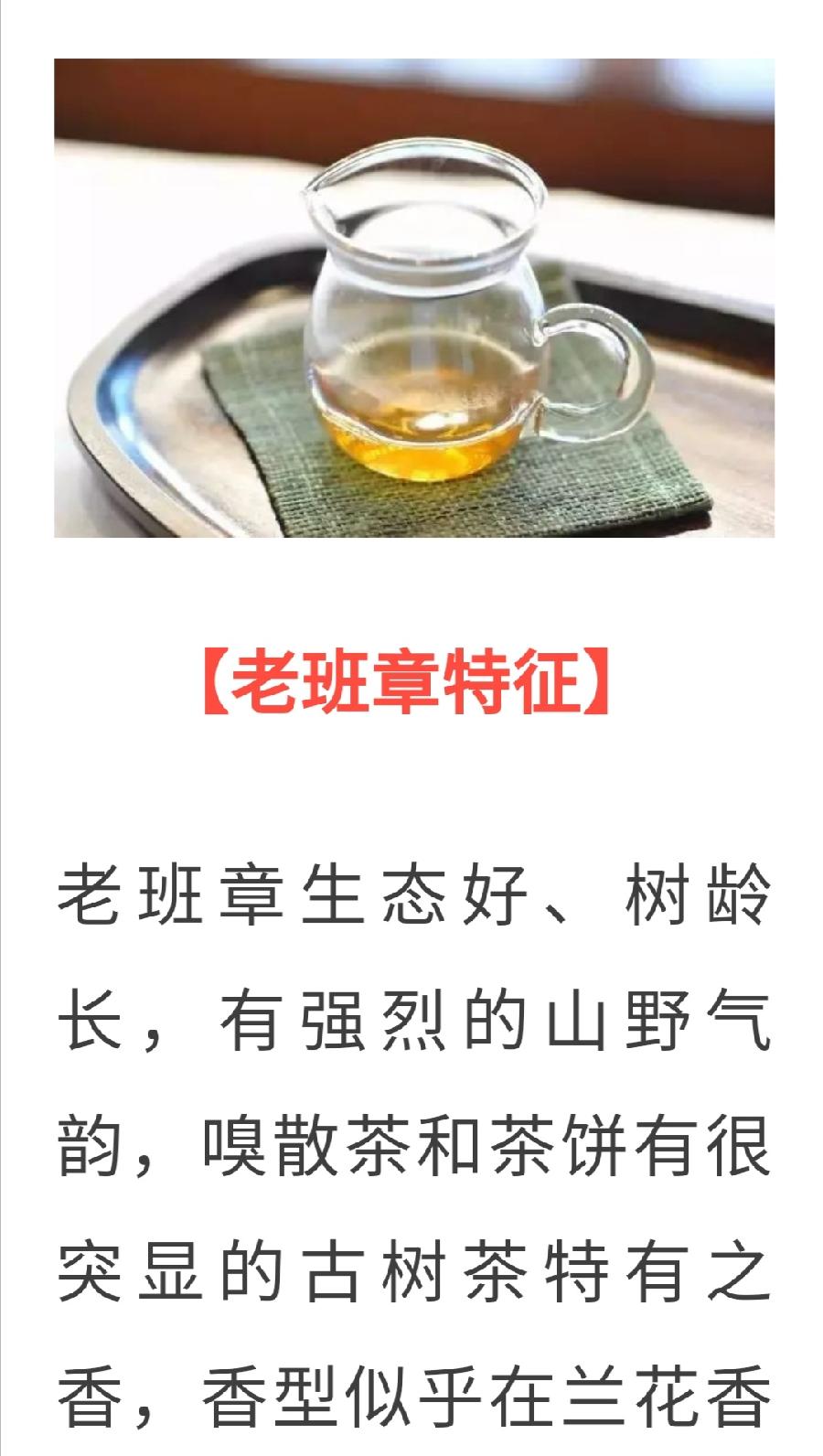 普洱茶各大山头的基本特性和口感，值得收藏！普洱茶界（图29）
