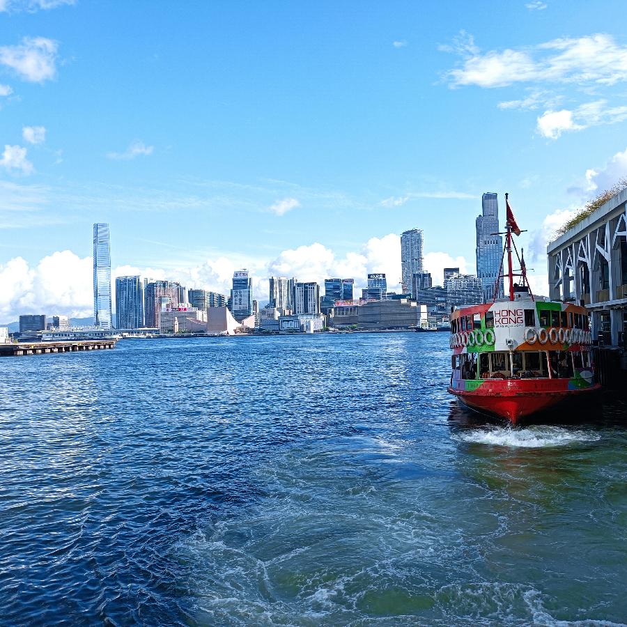 海边散步所见2022.6.23(图11)