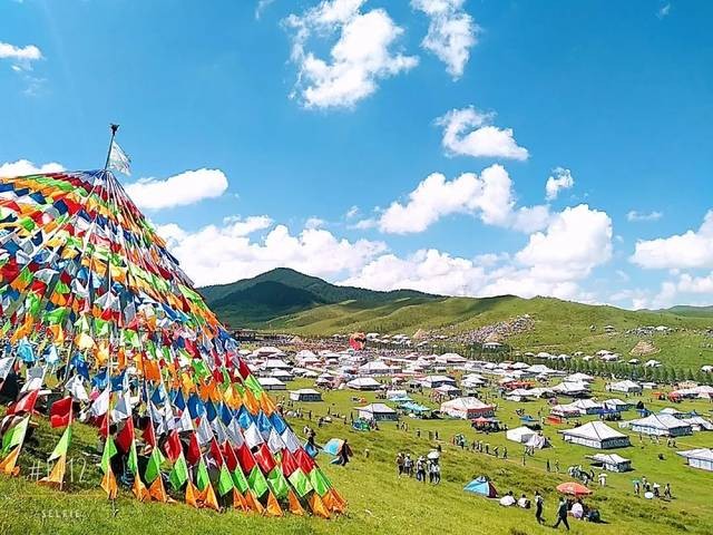 【经典推荐】杨武军//甘南旅游感怀（诗词六首）（图6）