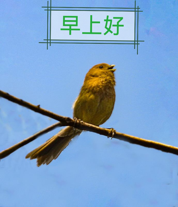 《故道文化•副刊》第一六九期：张荣岐古诗