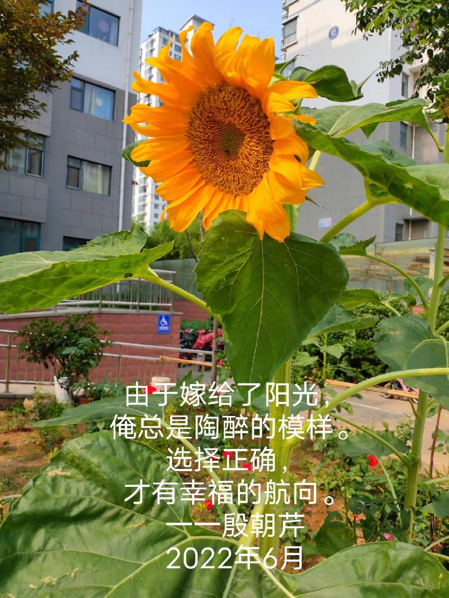 【连载厅】殷朝芹老师新作《见景生情》连载(十)（图8）