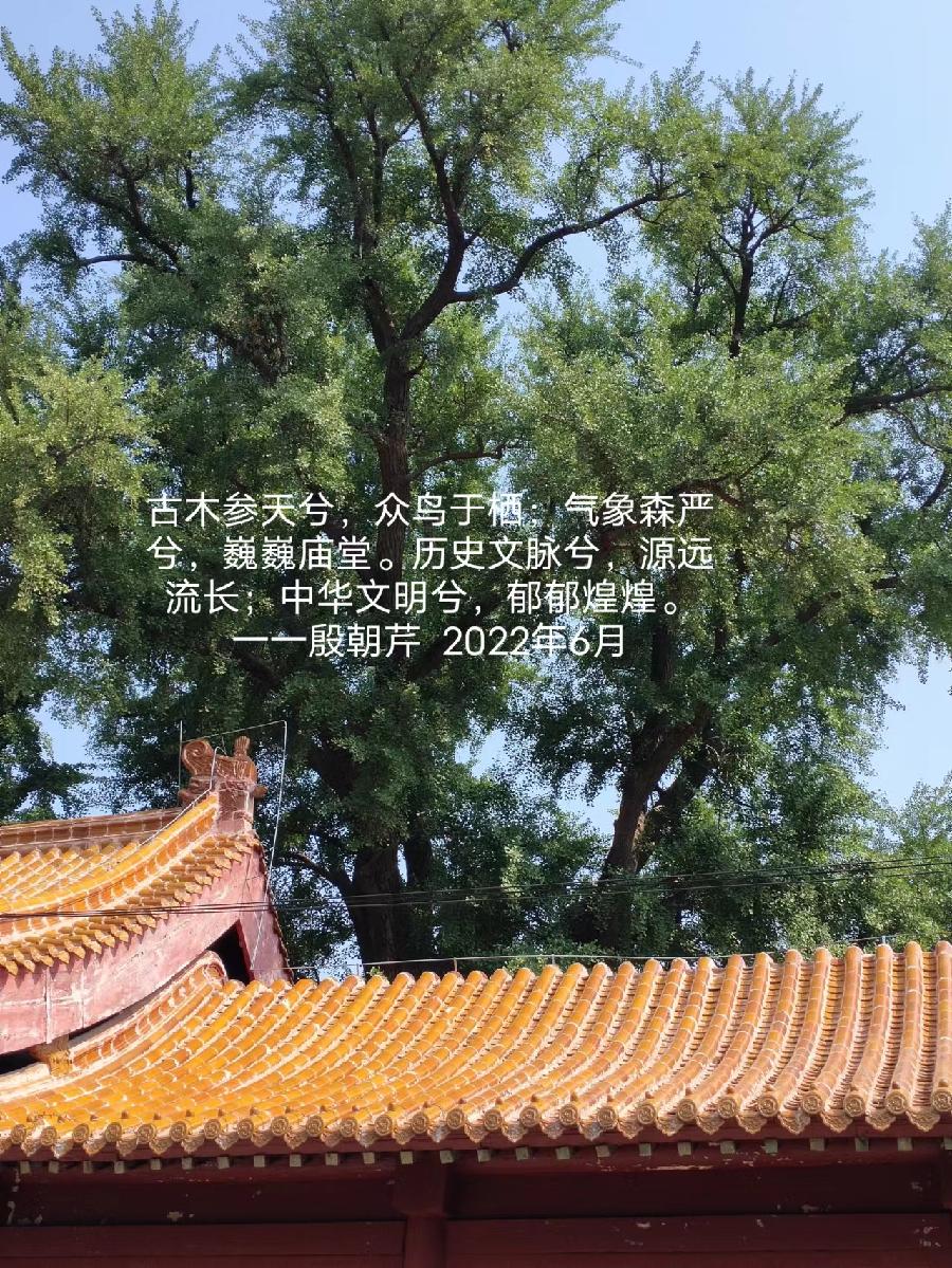 【连载厅】殷朝芹老师新作《见景生情》连载(十)（图12）