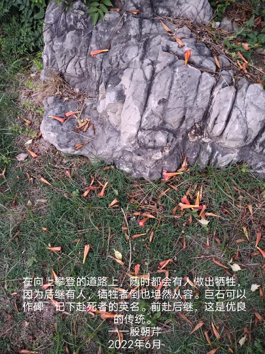 【连载厅】殷朝芹老师新作《见景生情》连载(十)（图20）