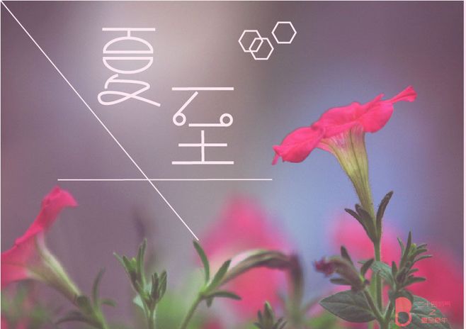 《红烛诗刊》老骥：夏至之夜（原创）