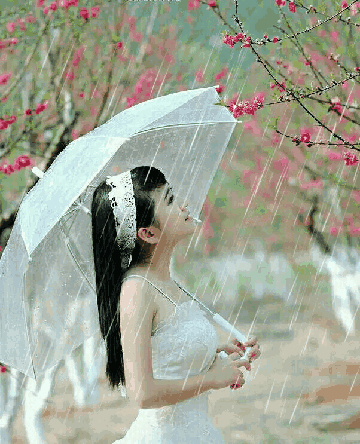 青莲雨润与王晓春的壬寅六月唯美抒情诗散文诗合辑｜金牌主播宏红｜中国桂林都市文学社730期（图6）