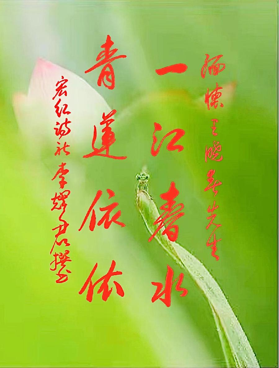 青莲雨润与王晓春的壬寅六月唯美抒情诗散文诗合辑|金牌主播宏红|中国桂林都市文学社730期(图14)