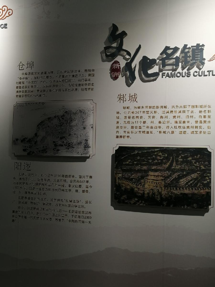 新洲城市规划馆作者 剑行天下（图4）