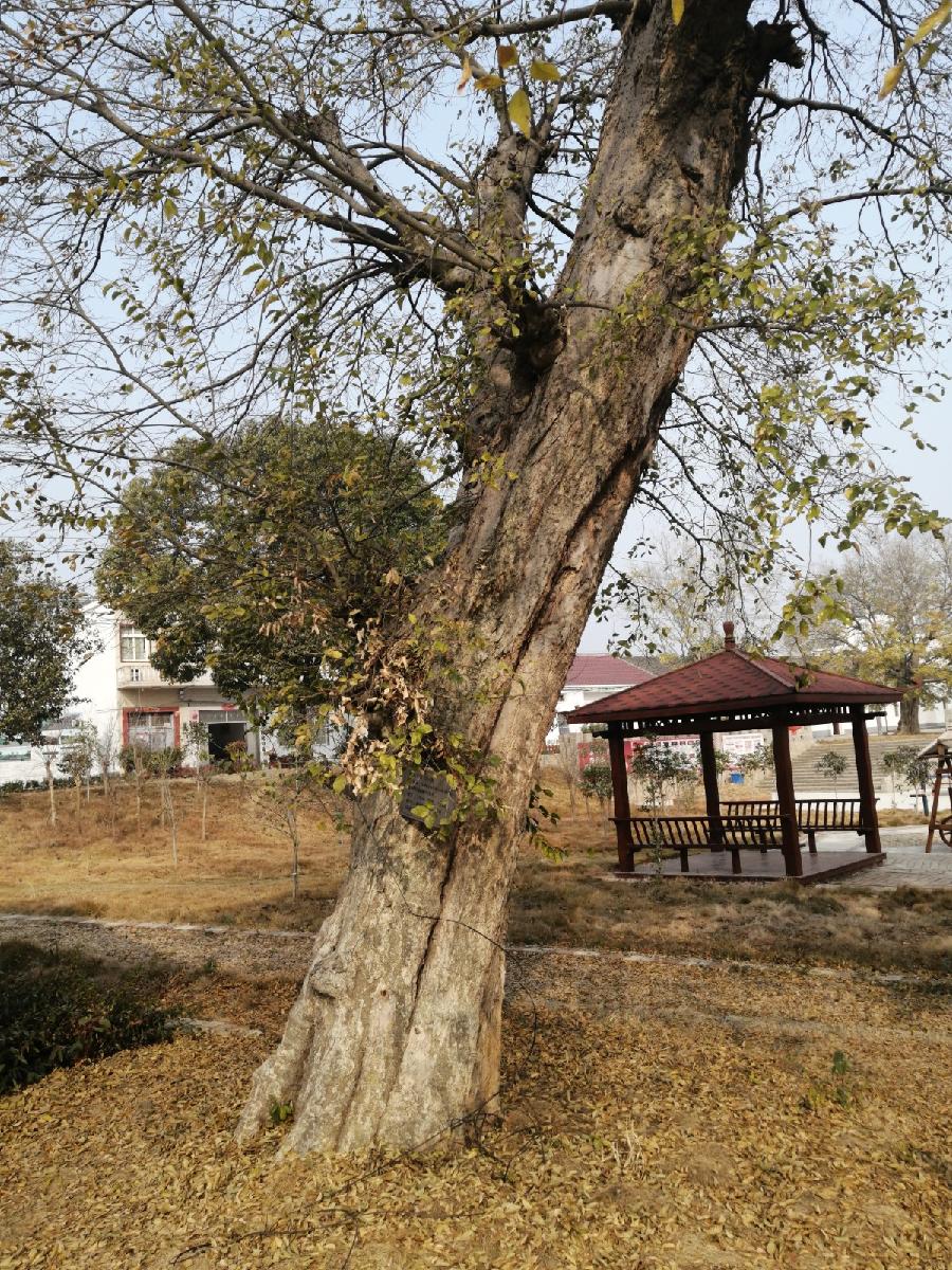 访问津书院作者 剑行天下（图4）