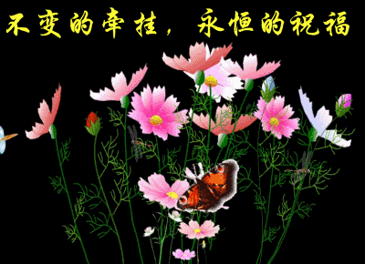 [北京头条]《牵挂》作者/雨下罗加，主播/柔荑（图2）