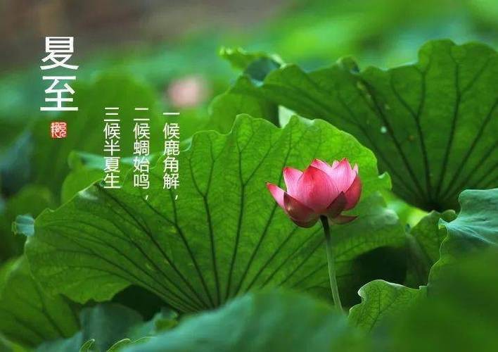 【原创】何华//七律•夏至（图4）