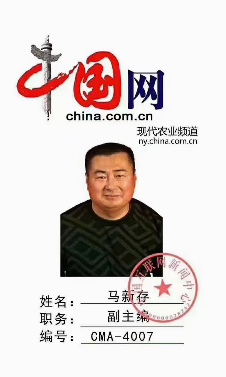 马新存:资深媒体人、爱国拥军人、社会活动家(图2)