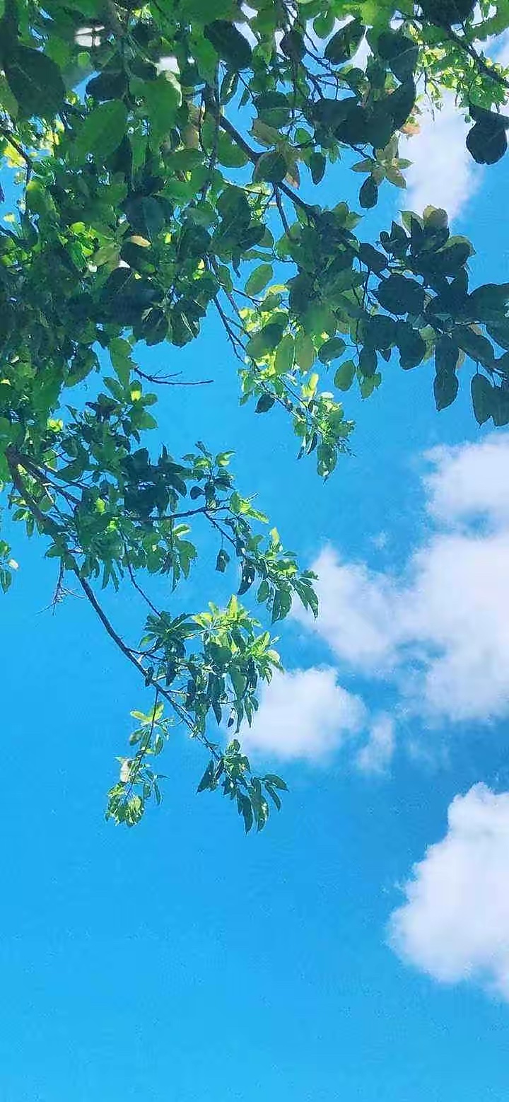 【诗词中国】精品佳作《夏日午后行走之断想》作者：东边日出（图5）
