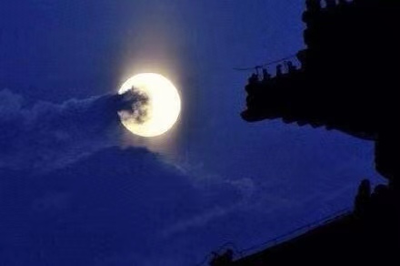 红梅诗歌文化传媒||在黑夜里独白||作者：王百灵