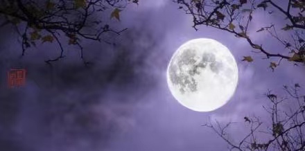 红梅诗歌文化传媒||在黑夜里独白||作者：王百灵（图3）