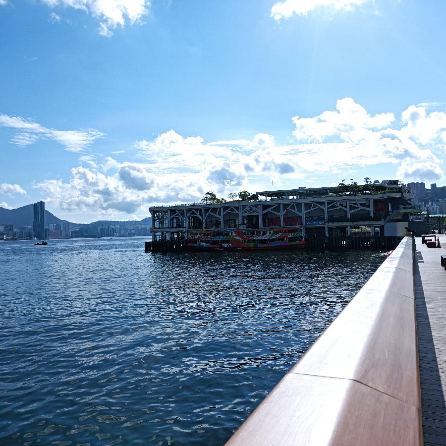 海边散步所见2022.6.23(图14)