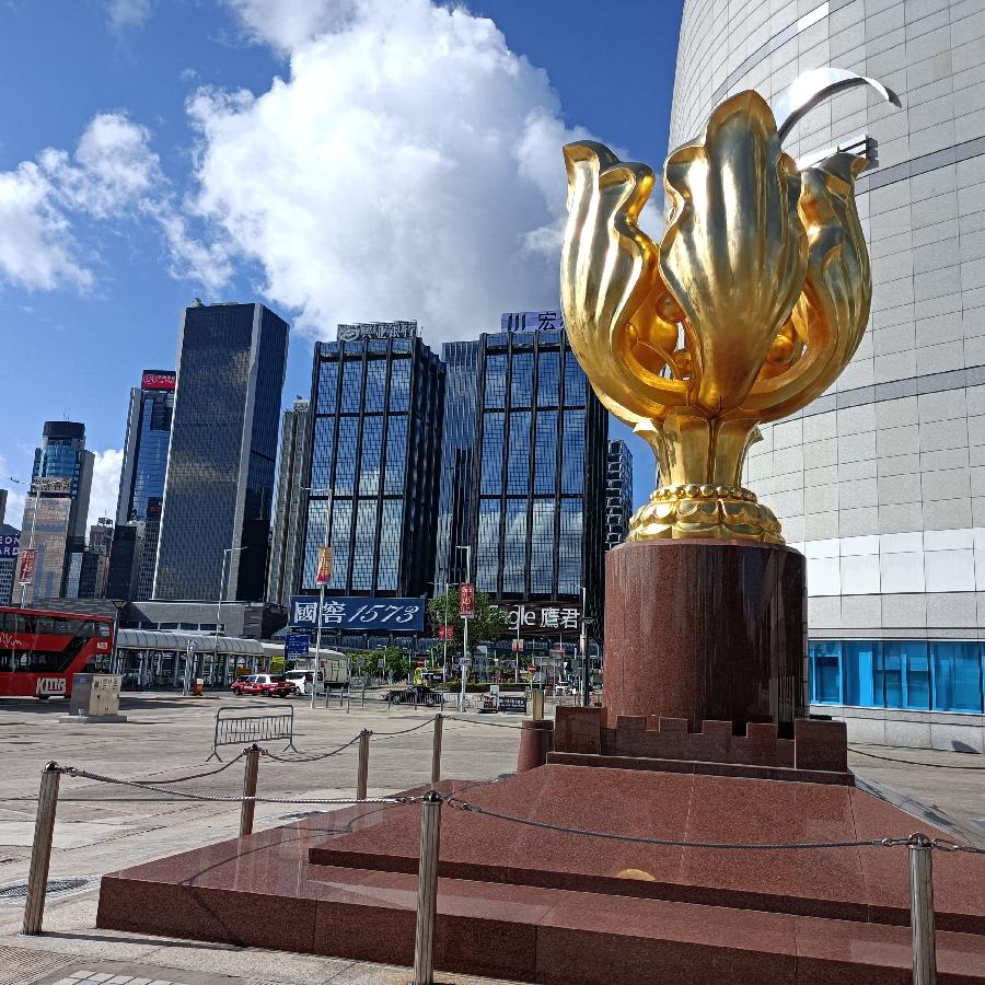 海边散步所见2022.6.23(图19)