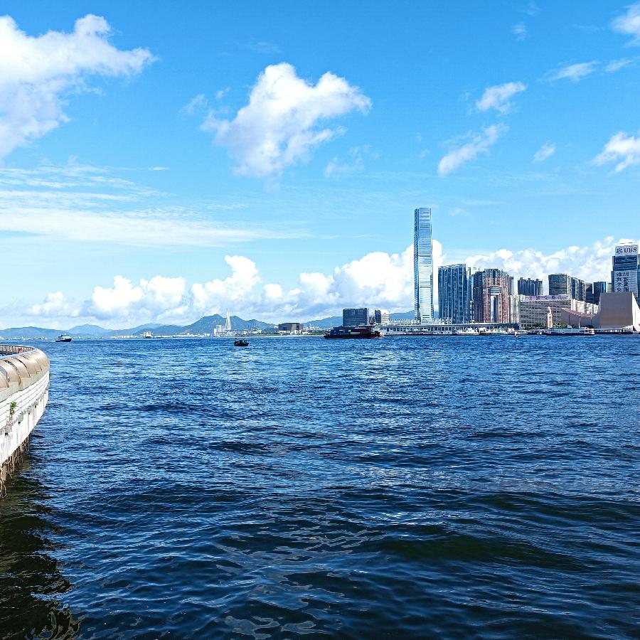 海边散步所见2022.6.23(图20)