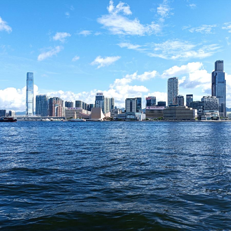 海边散步所见2022.6.23(图21)