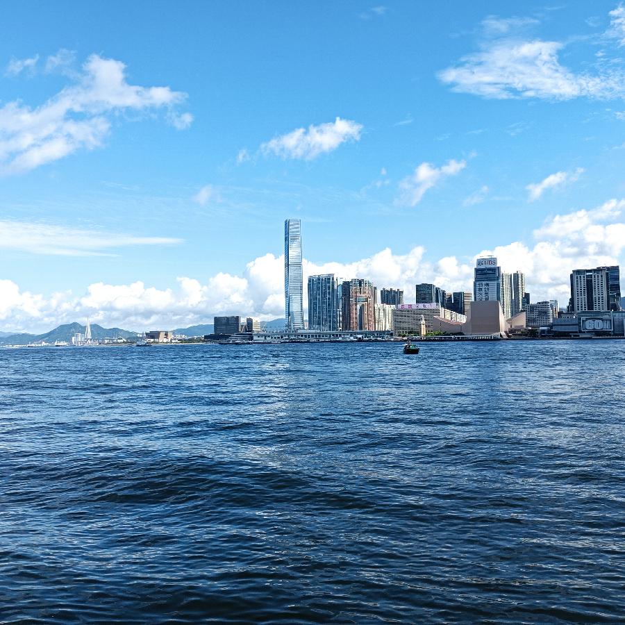 海边散步所见2022.6.23(图23)