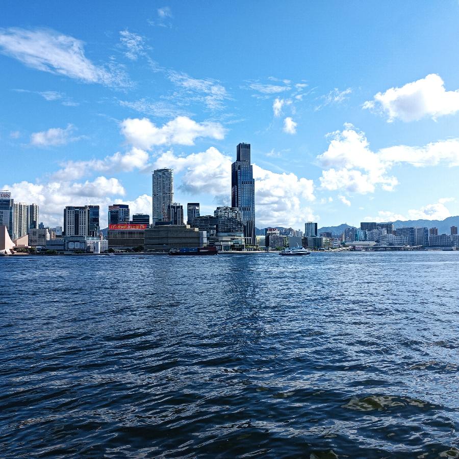 海边散步所见2022.6.23(图22)