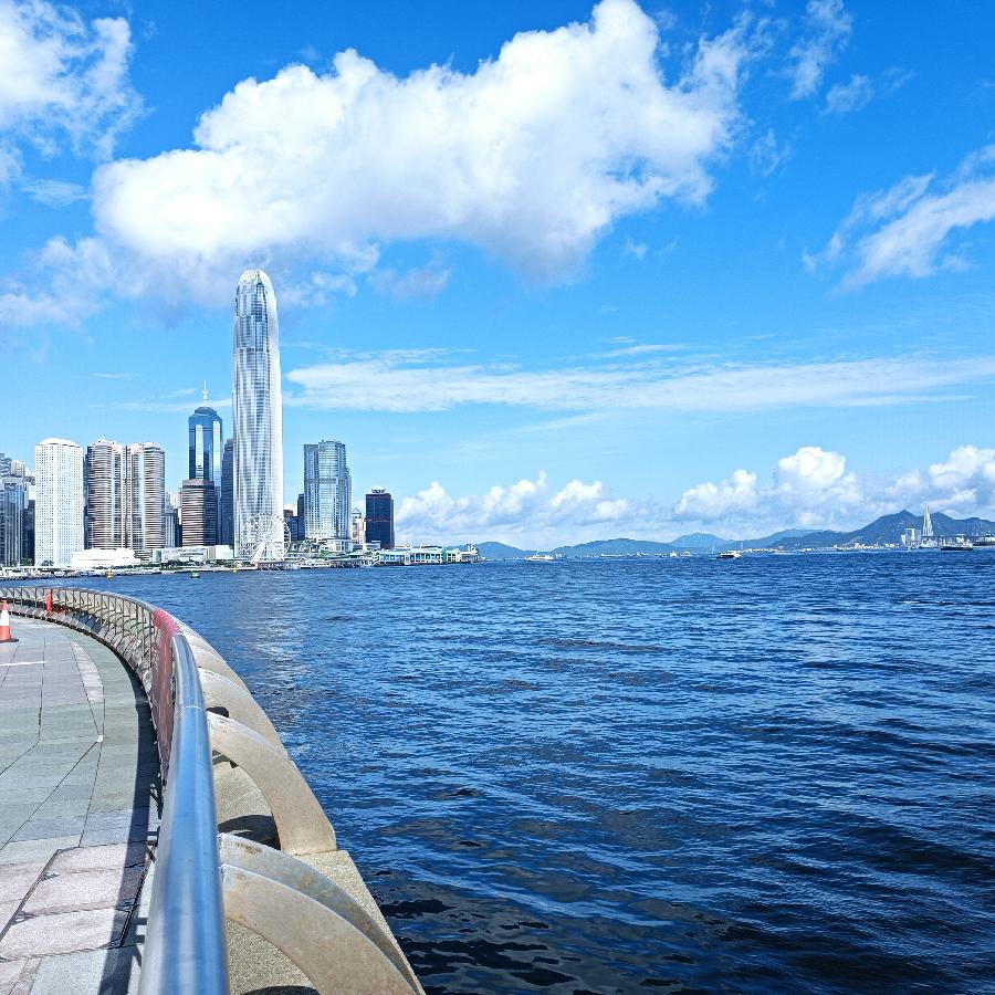 海边散步所见2022.6.23(图24)