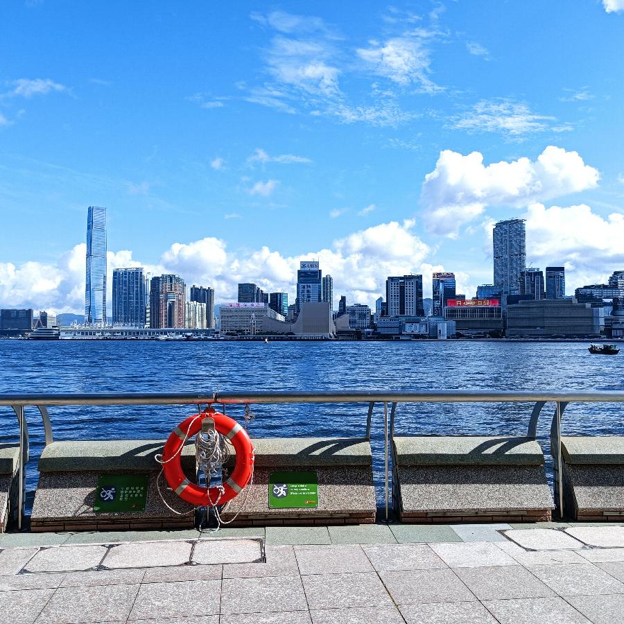 海边散步所见2022.6.23(图26)