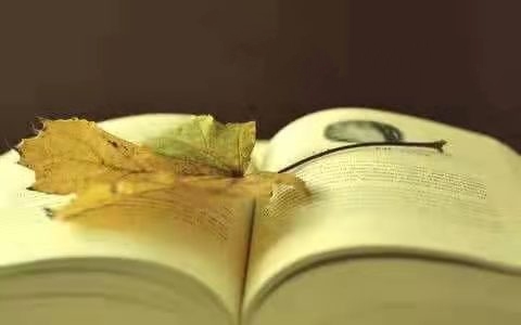 ［佳作欣赏］情诗圣女——步虎哥哥《今生与诗有缘》韵//文/赵玉莲（图4）