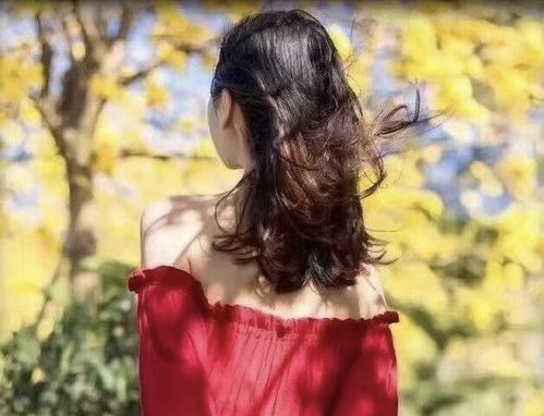 ［佳作欣赏］情诗圣女——步虎哥哥《今生与诗有缘》韵//文/赵玉莲（图7）