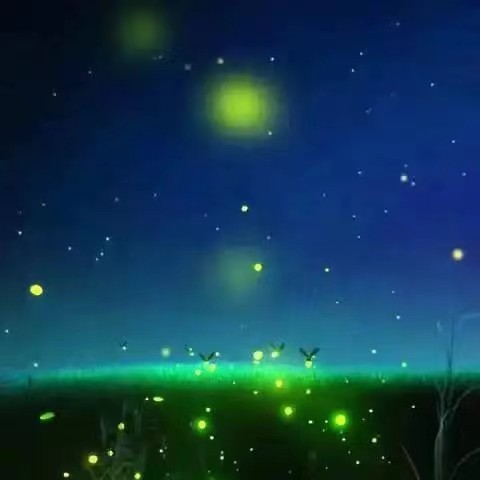 [北京头条]散文随笔《夏夜畅想》作者/费立强，主播/天乐（图2）