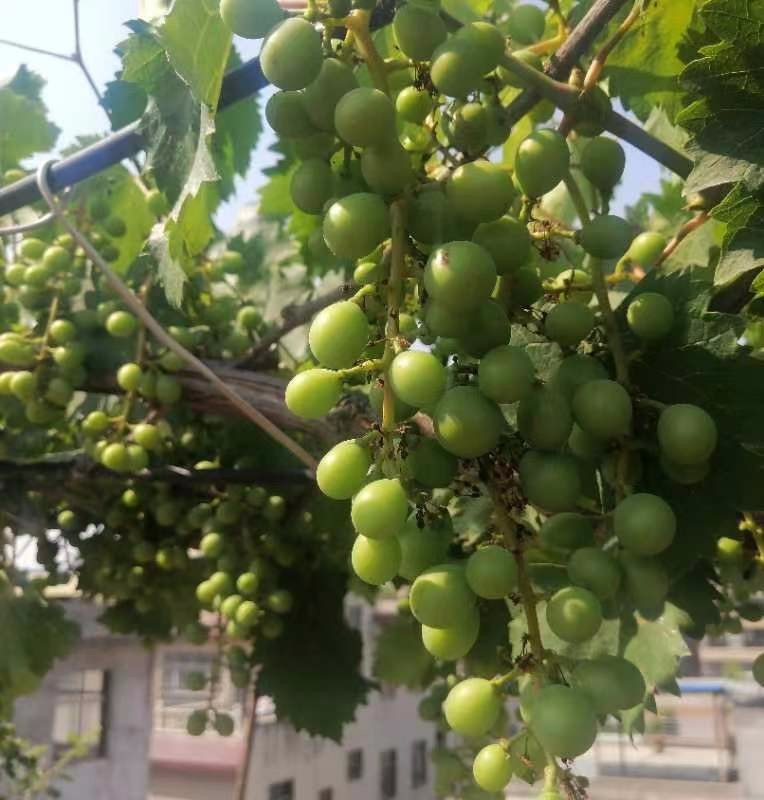 “书房论坛”赞 连拽/文 米娜/图 京津沪头条(图6)