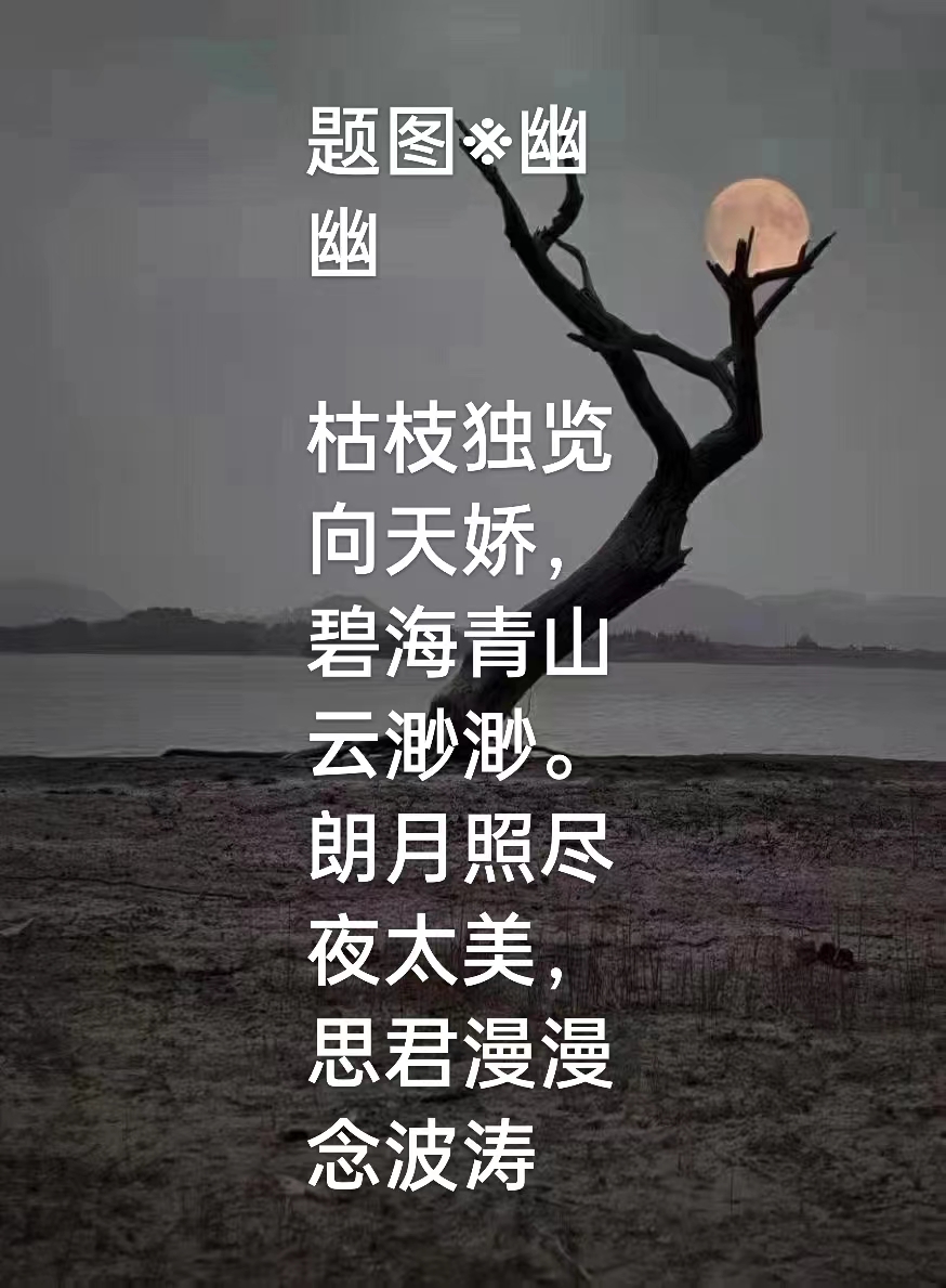 枯枝月影,诗友唱和!(图3)