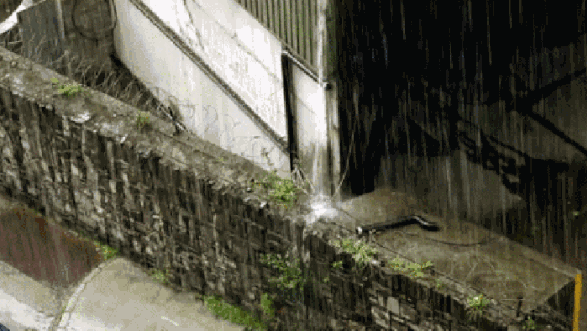 《雨中的畅想》作者/韩文 主播/罗援鲜【辽西大地文学社】1098期（图3）