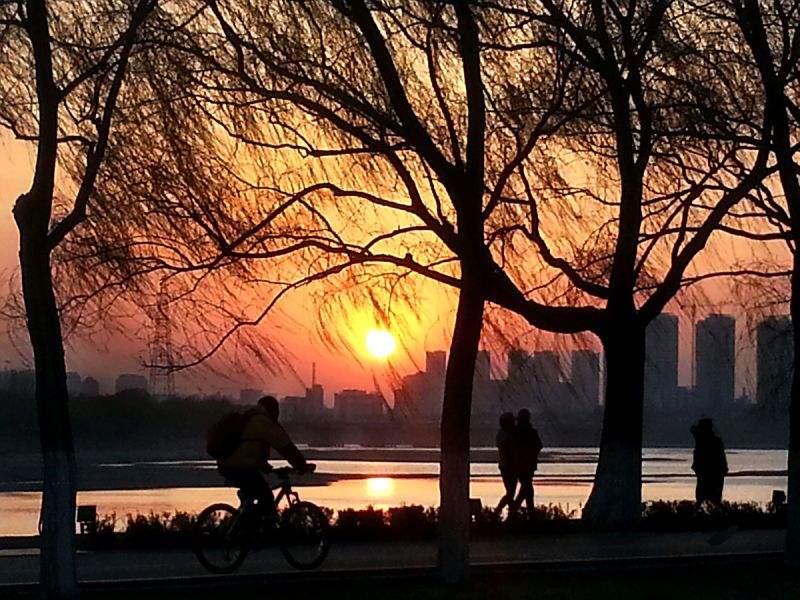 ◼️止/萧水金(图3)