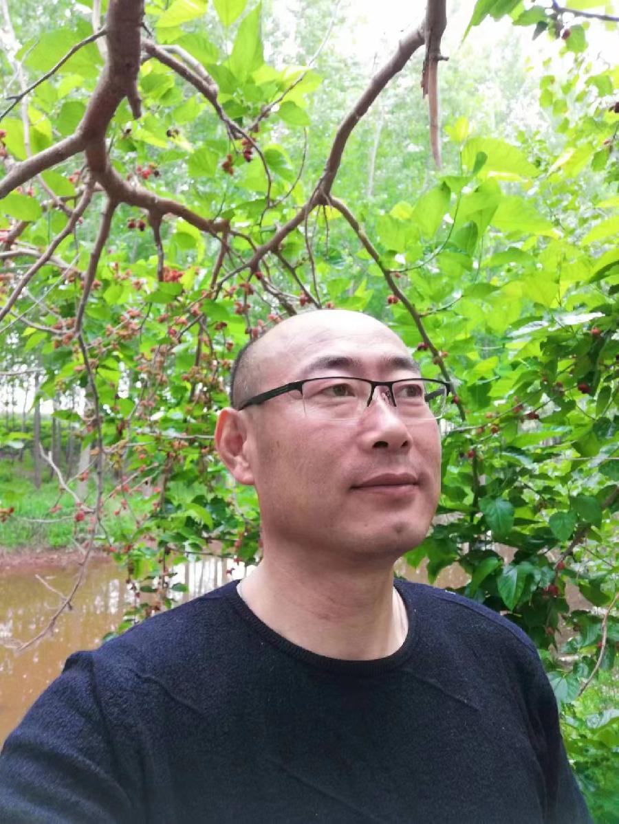《第六届世界爱情诗大赛》（157）【北京总社】推荐：寒冰心（图2）