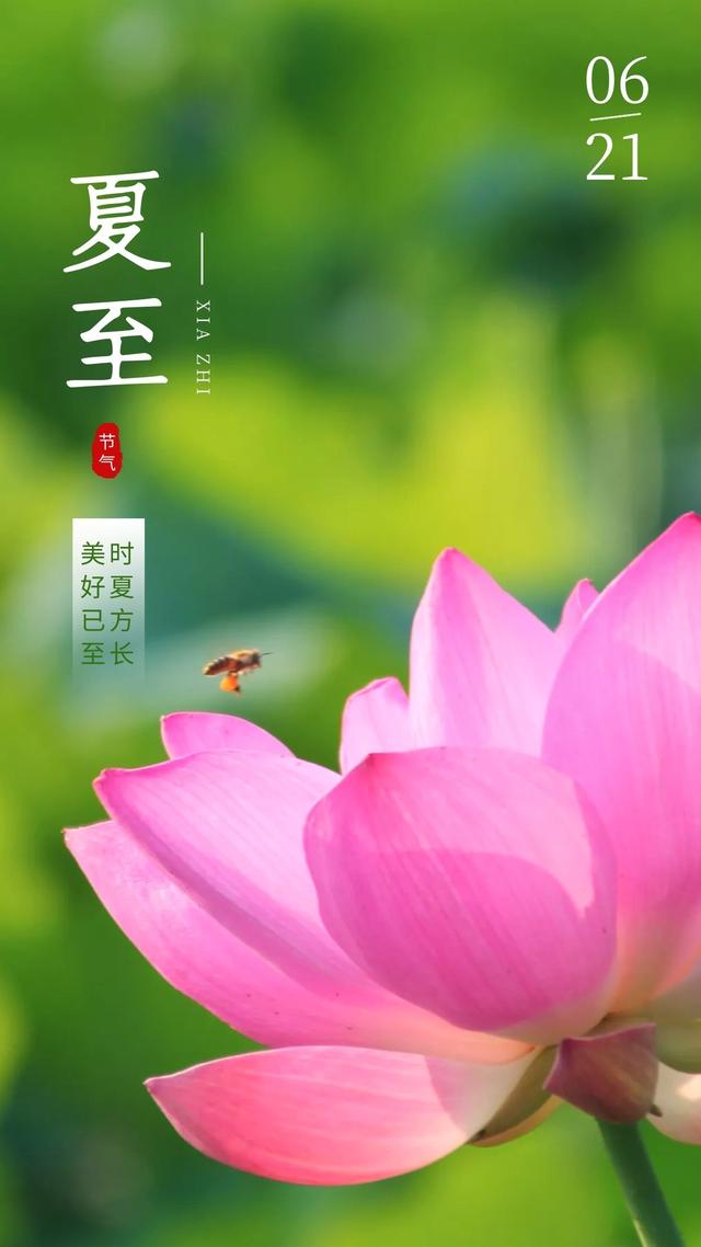 夏至抒怀