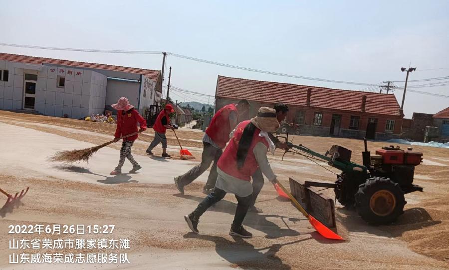 合作社里志愿红 颗粒归仓话丰收（图6）