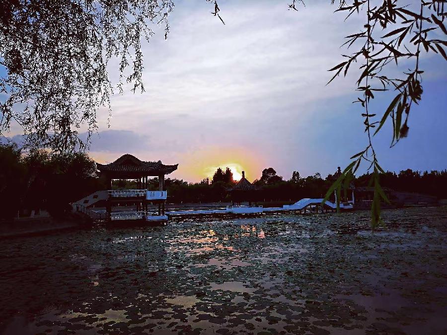 【新诗大观】夏日随思(诗十一首)||文/华贸(图2)