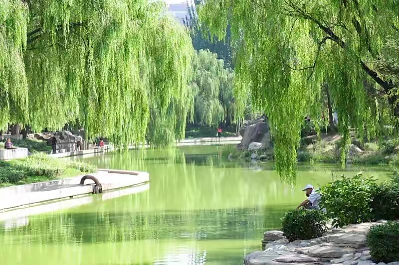 【新诗大观】夏日随思(诗十一首)||文/华贸(图3)
