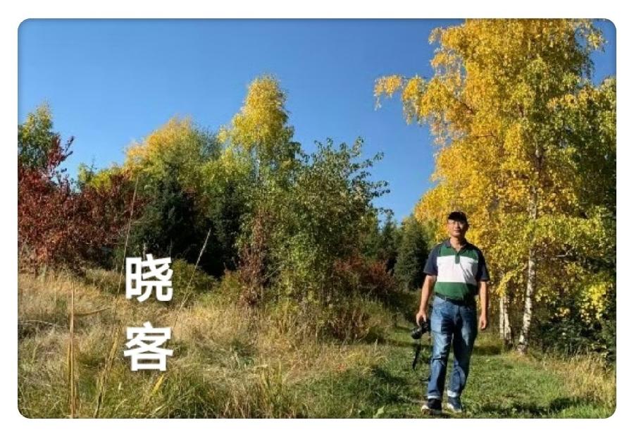 【翰林国粹诗社】才子刊40~41期合刊(图13)
