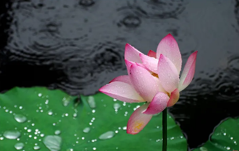 084001249.png image.png