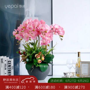 湖北文化名人乡音：《笔下的镜头》（图2）