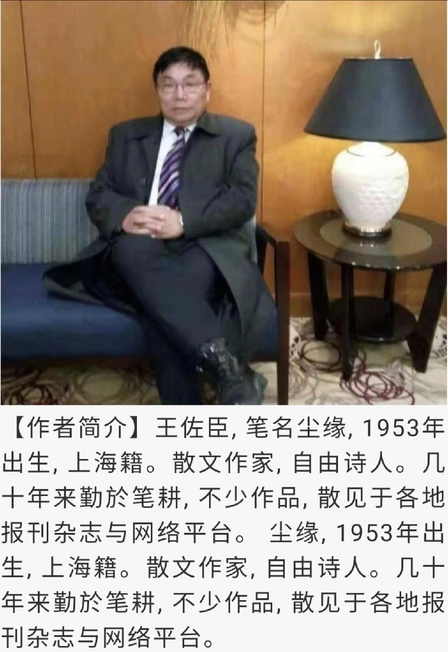 《下一站》作者:王佐臣 海外華英刊（图2）