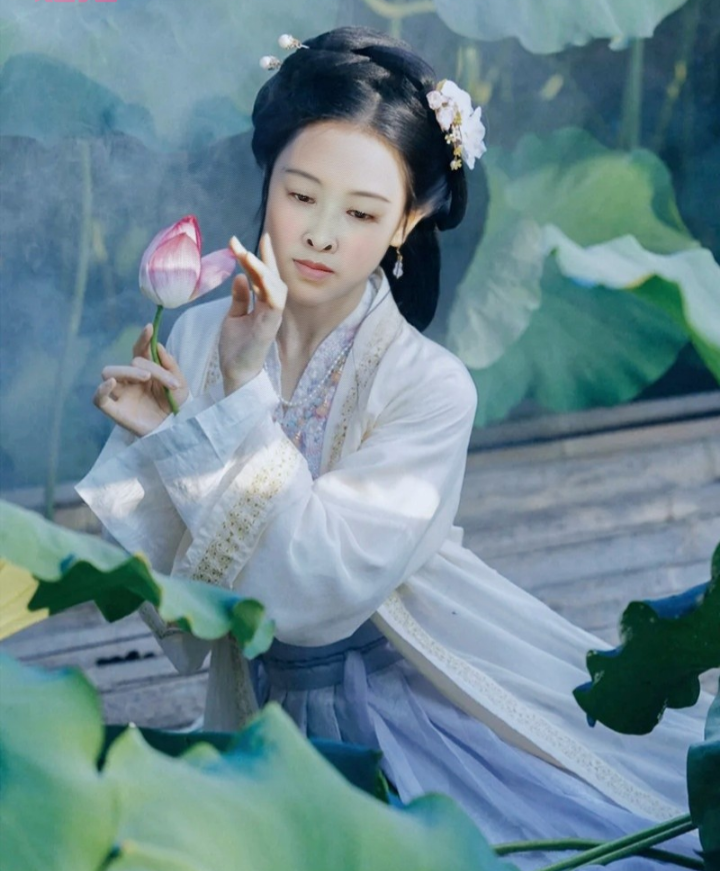 荷花池感怀{散文}文/依然(图6)