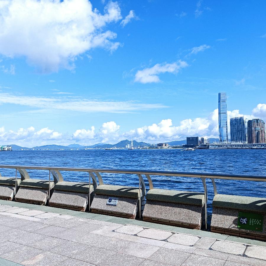 海边散步所见2022.6.23(图27)