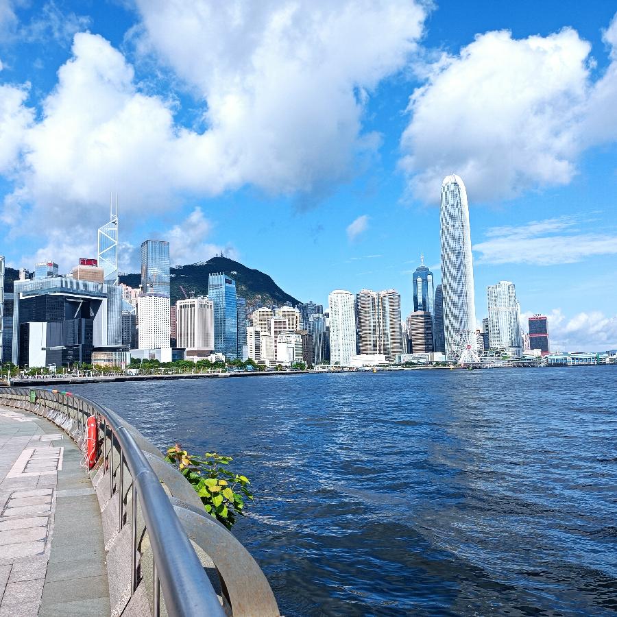 海边散步所见2022.6.23(图28)