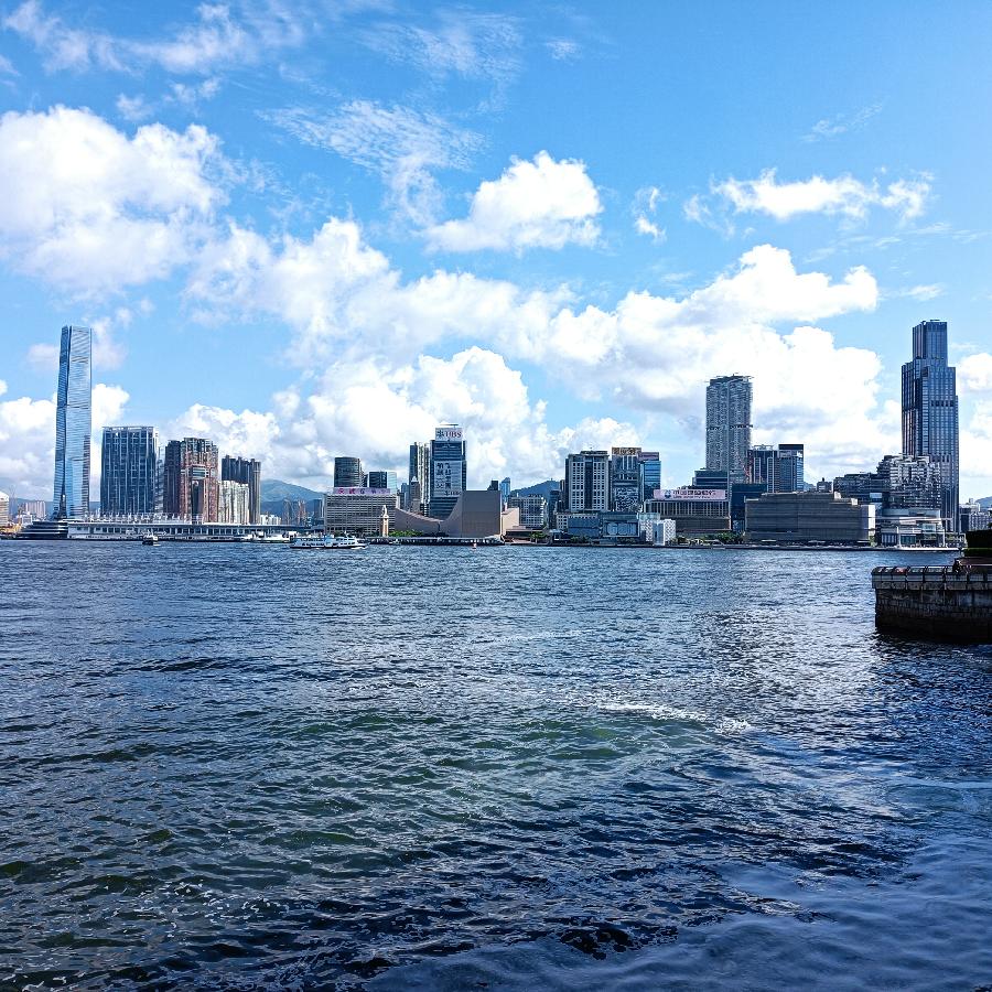 海边散步所见2022.6.23(图29)