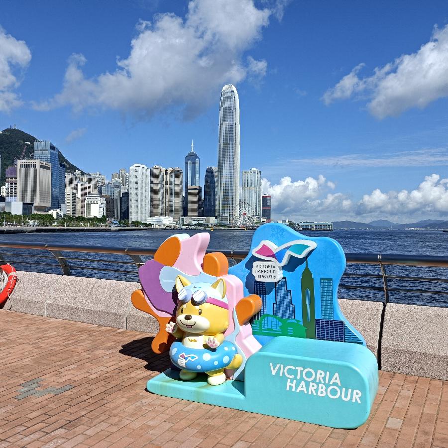 海边散步所见2022.6.23(图30)