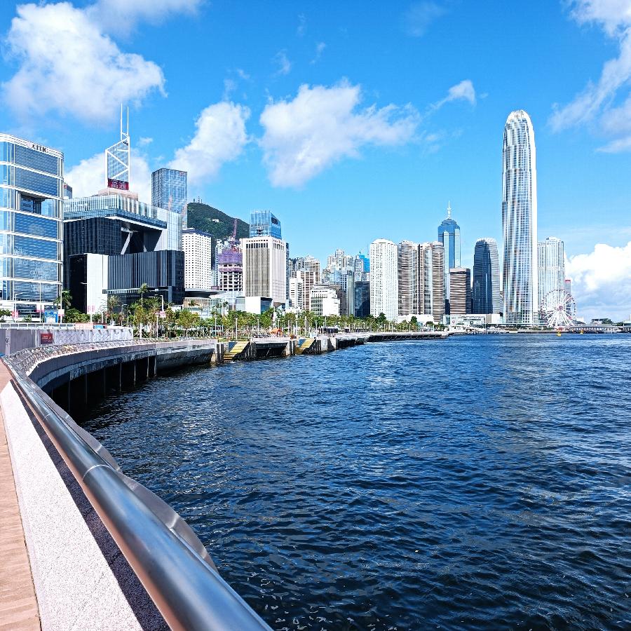 海边散步所见2022.6.23(图33)