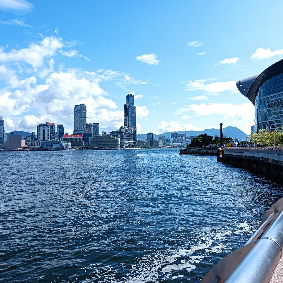 海边散步所见2022.6.23(图34)